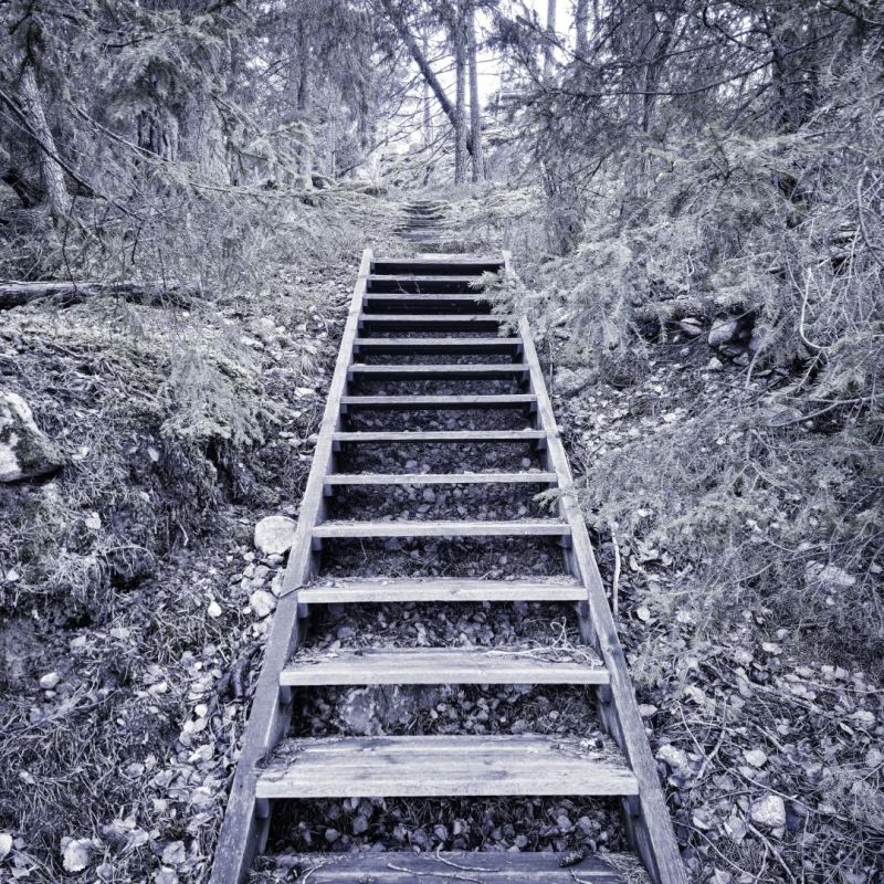 Nature’s Rhythms: A&nbsp;Journey